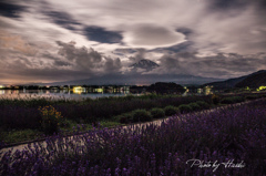 河口湖・大石公園夜景2