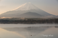 湖畔の朝