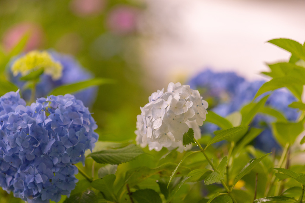 雨止んで