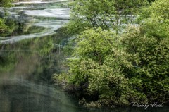 春の水景