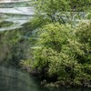 春の水景