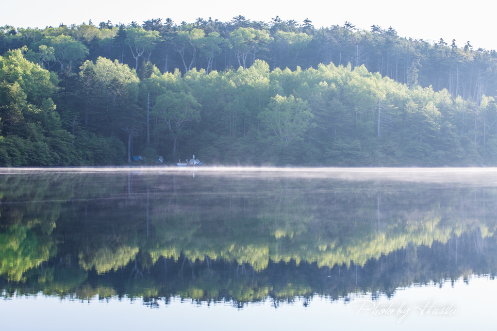 日の出の白駒池2