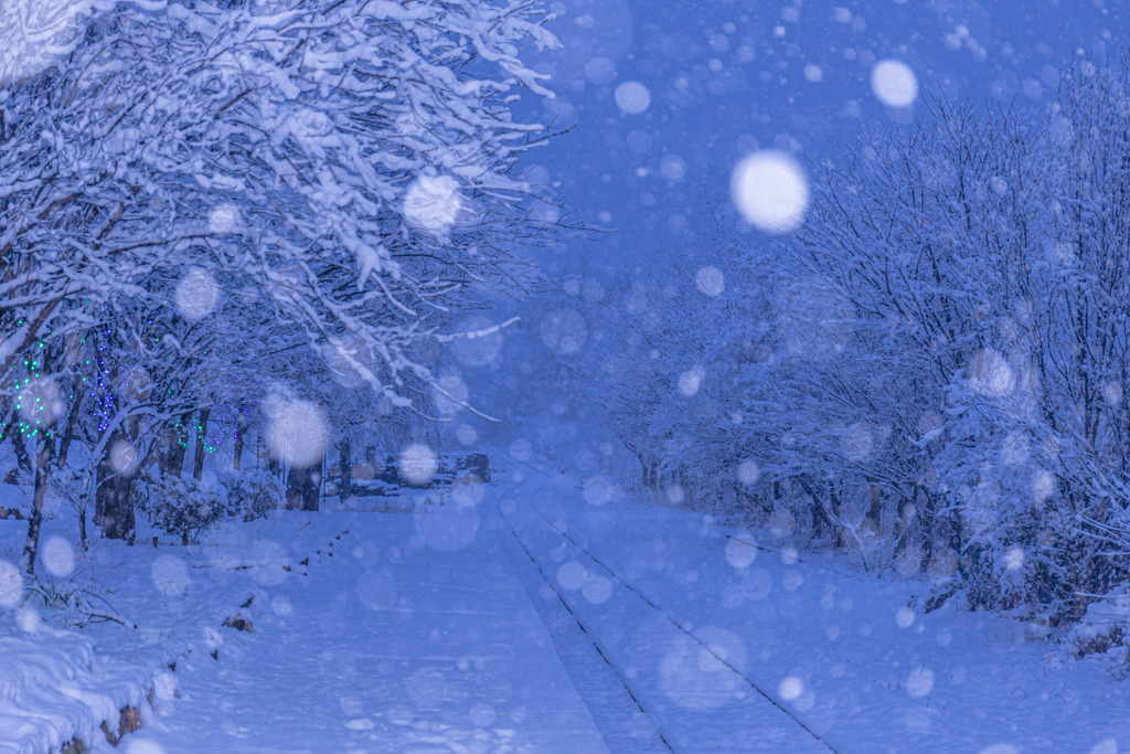 雪は降る