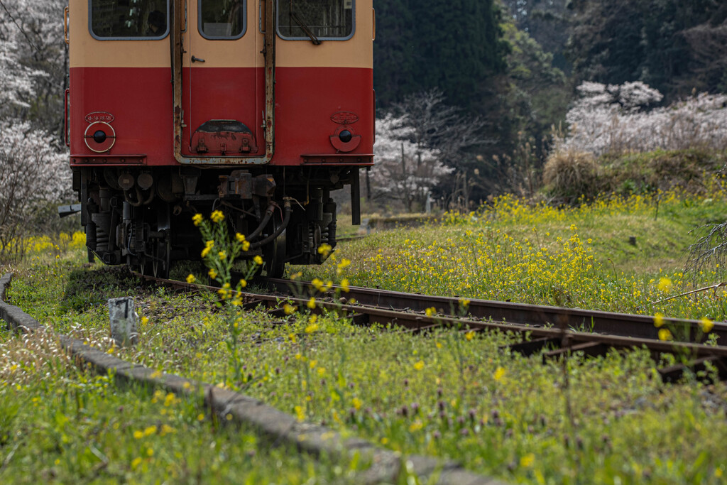 小湊鉄道