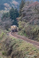 秋の渡良瀬鉄道2