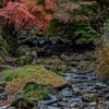 風布川・秋