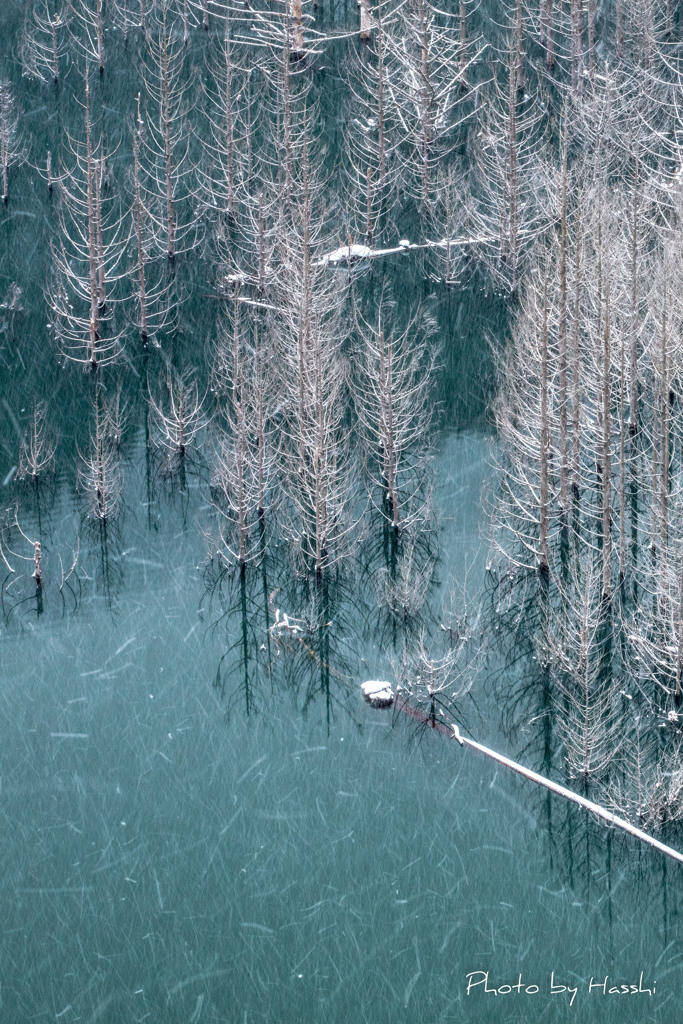 風雪