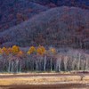 晩秋の小田代ヶ原