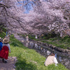 お花見会