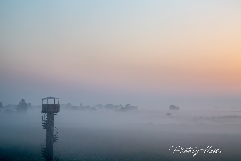 遊水地朝景（霧幻）