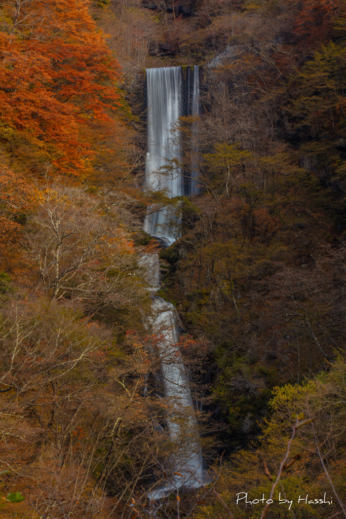 放等滝
