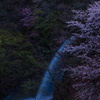 滝と山桜