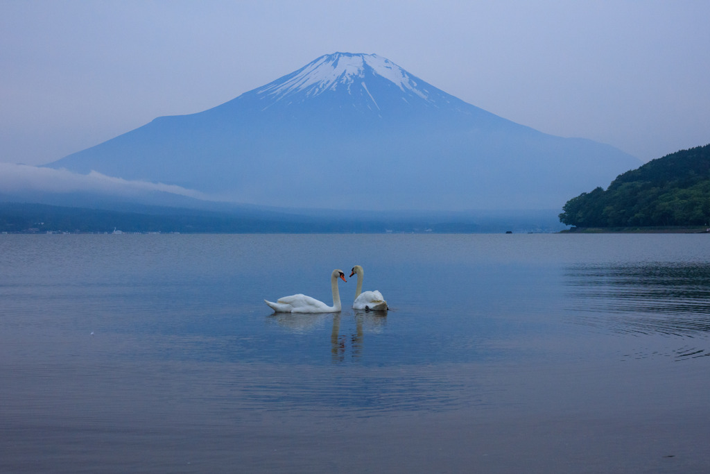 いつも仲良し