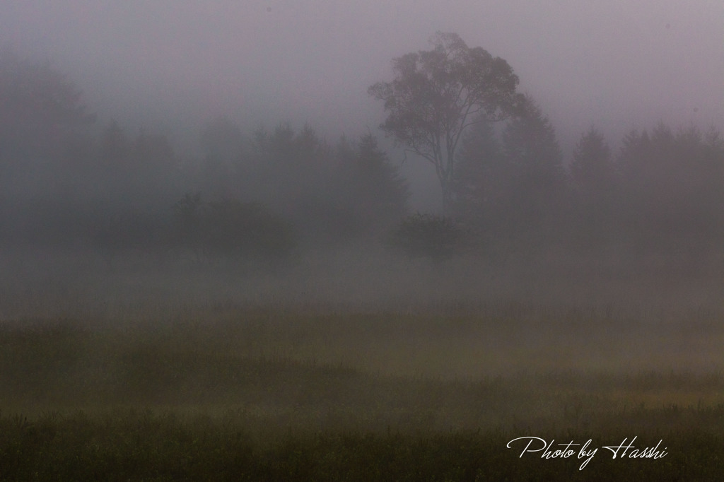 一日目（濃霧）