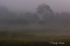 一日目(濃霧) 一日目(濃霧)