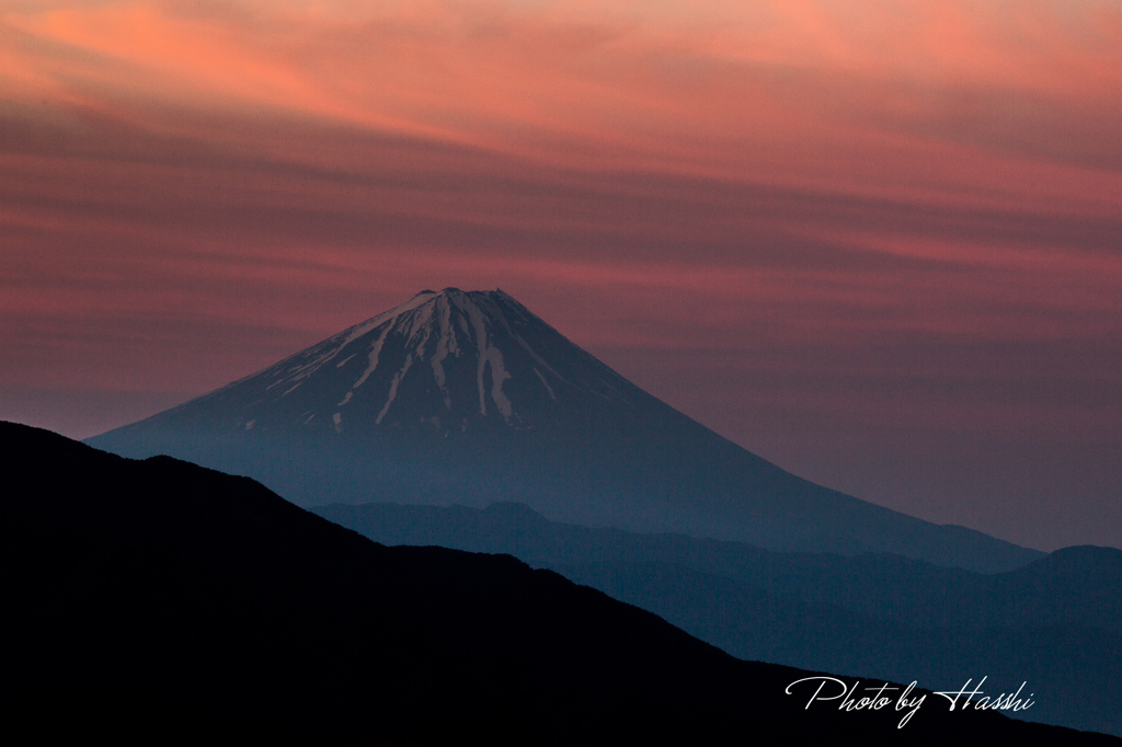 美しの森からの眺望