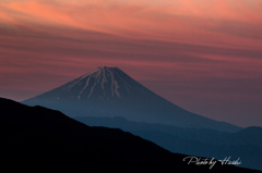 美しの森からの眺望
