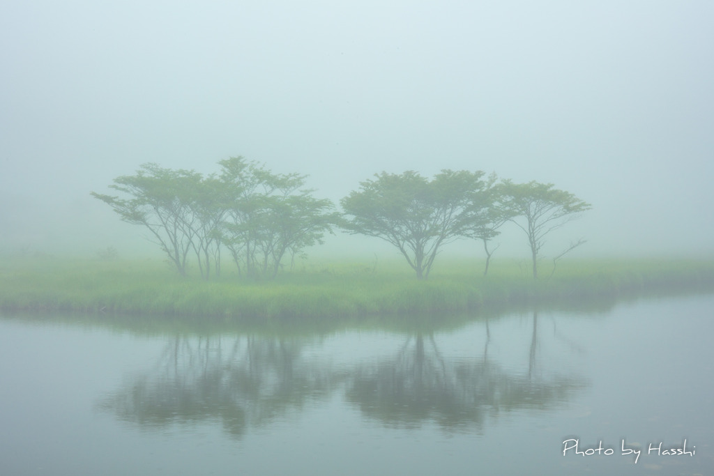 霧雨