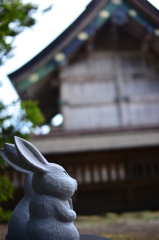 出雲大社を見上げる兎