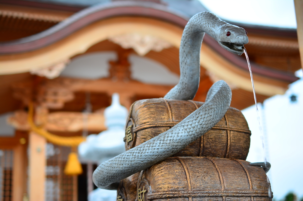 神社 で 蛇 を 見 た