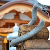 白ヘビと神社と