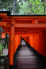 朝の鳥居