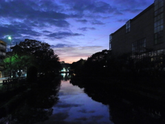 京都国立近代美術館横の疎水