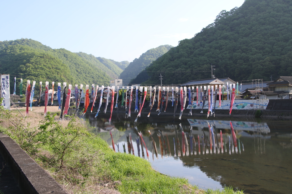 やる気なし。