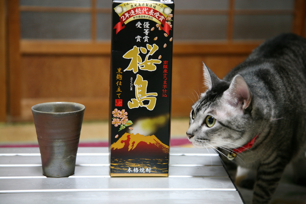 ねこ。焼酎。備前焼。。