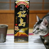 ねこ。焼酎。備前焼。。