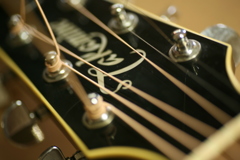 ＧＵＩＴＥＲ。