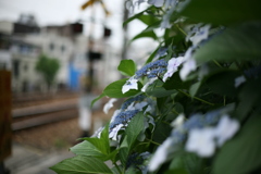 電車を待ちきれず・・