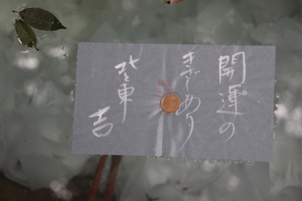 うらない。