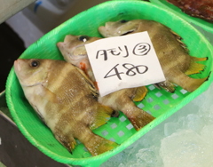 タモリさん。