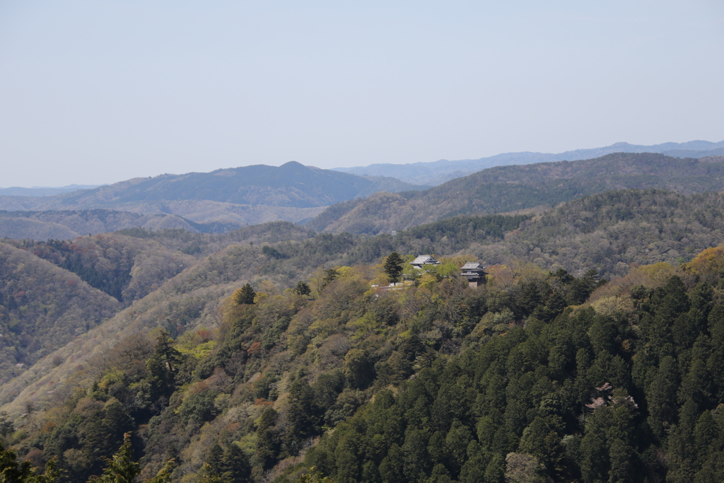 雲海の無い備中松山城。