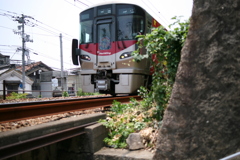 カープラッピング車