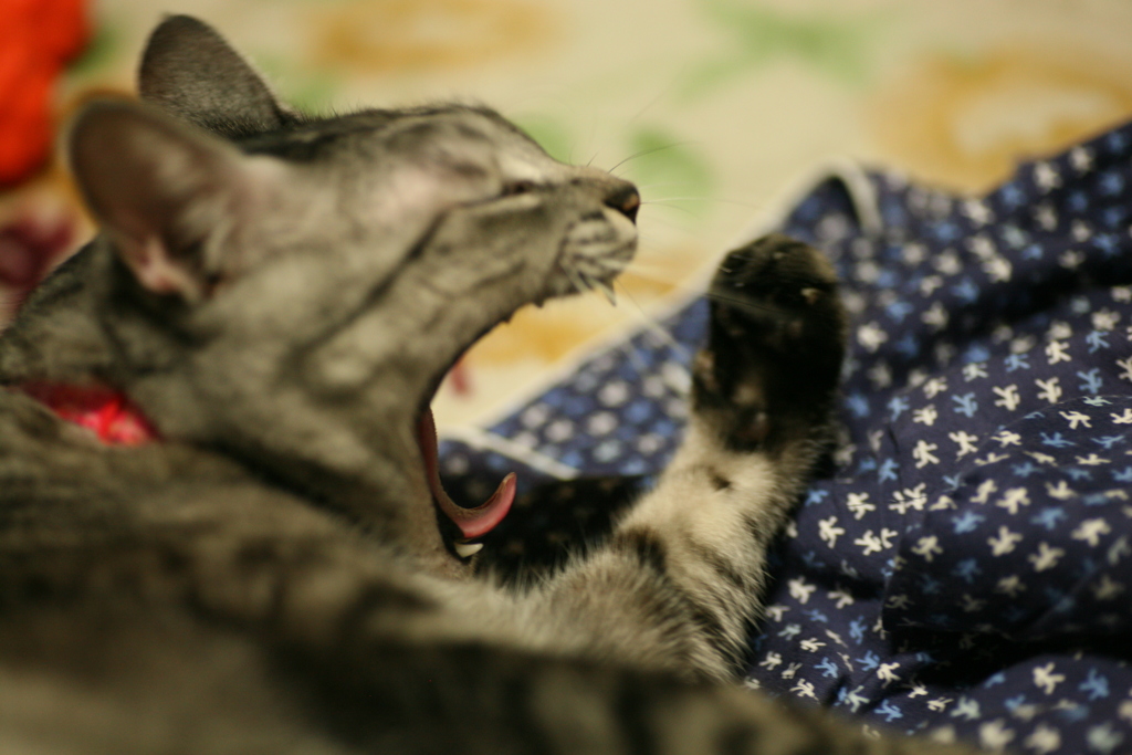 ぐわぁぁぁ！。