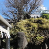 富士塚①。