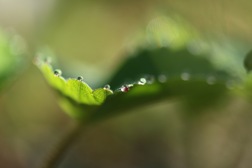水滴。