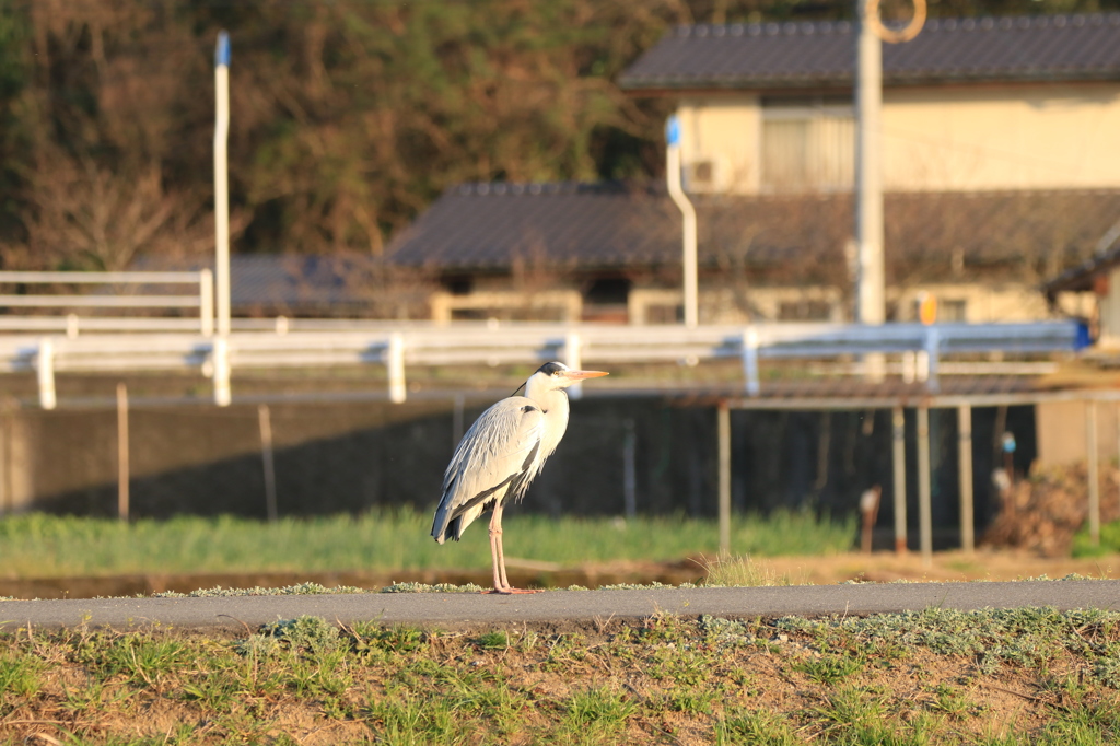 何想ふ。