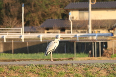 何想ふ。