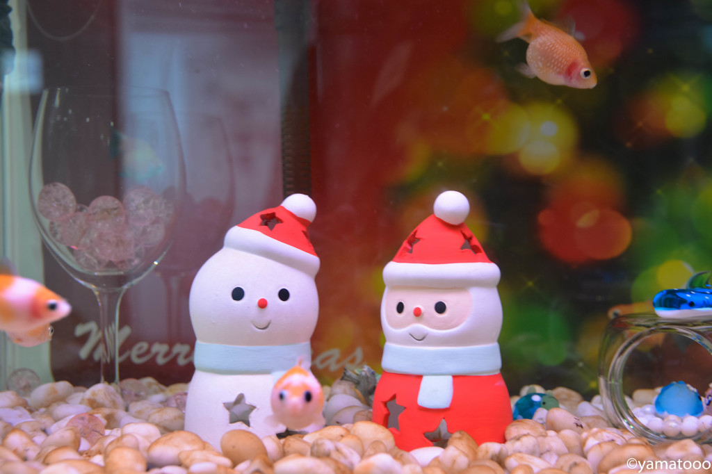 Christmas of the goldfish