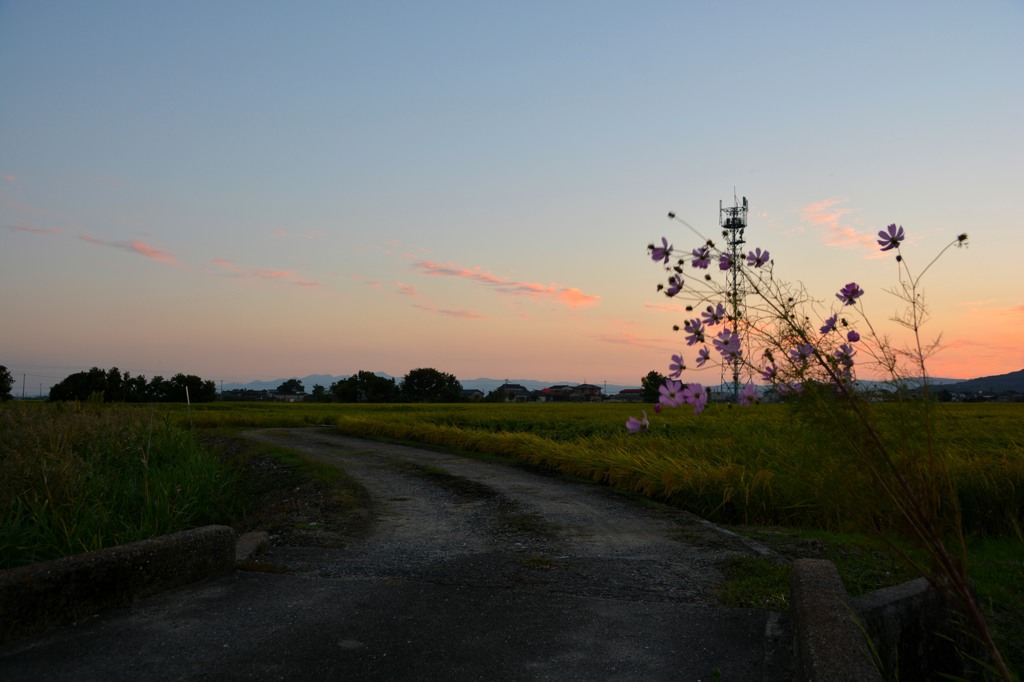 家路