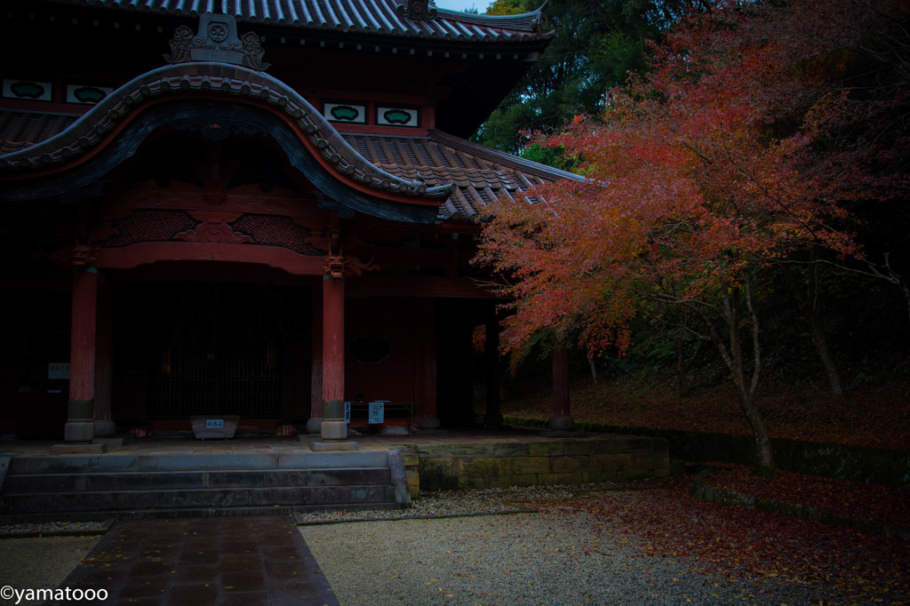 Shadow and Red