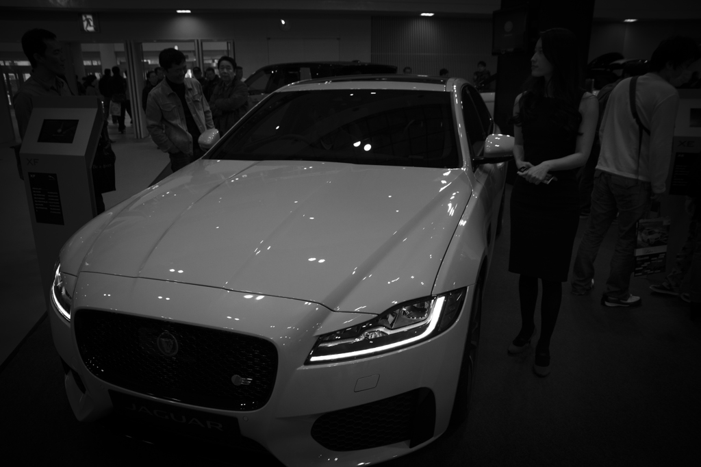 Jaguar in fukuoka