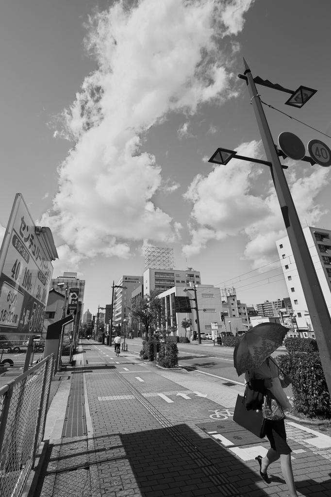 モノクロ散歩2015：梅雨入り前の晴れ間k