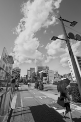モノクロ散歩2015：梅雨入り前の晴れ間k