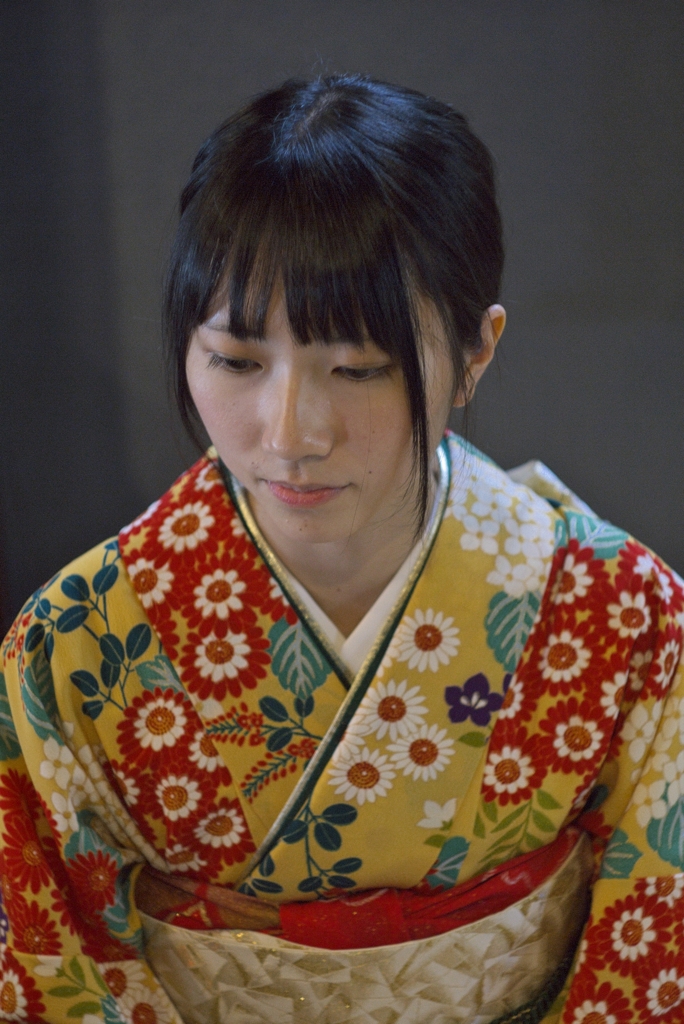 菊の着物