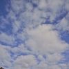 昔玉散歩2016：春の朝空