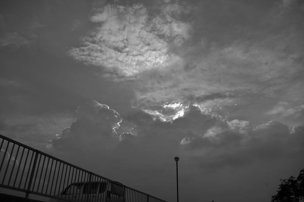 モノクロ散歩2016：夏の朝空b